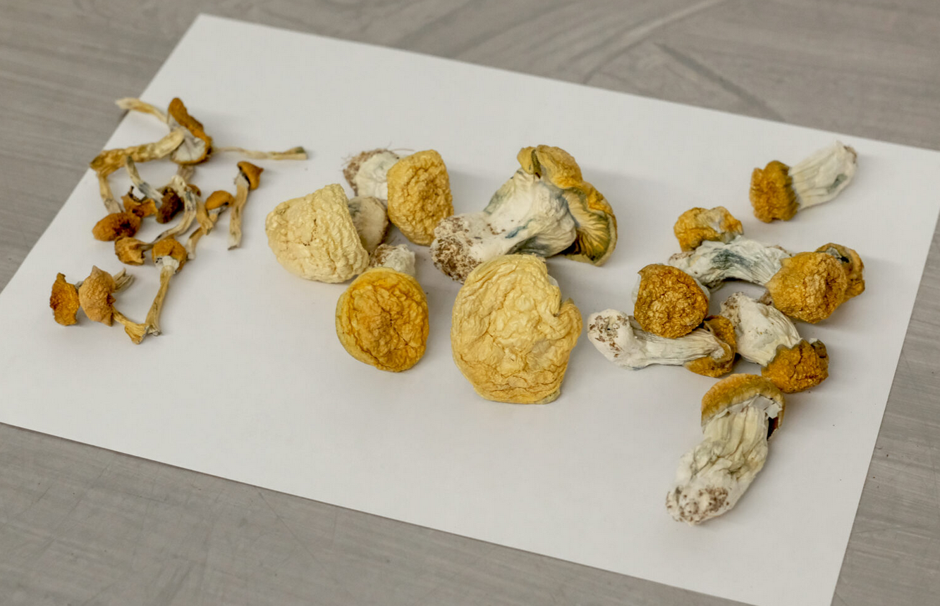 How to Take Magic Mushrooms