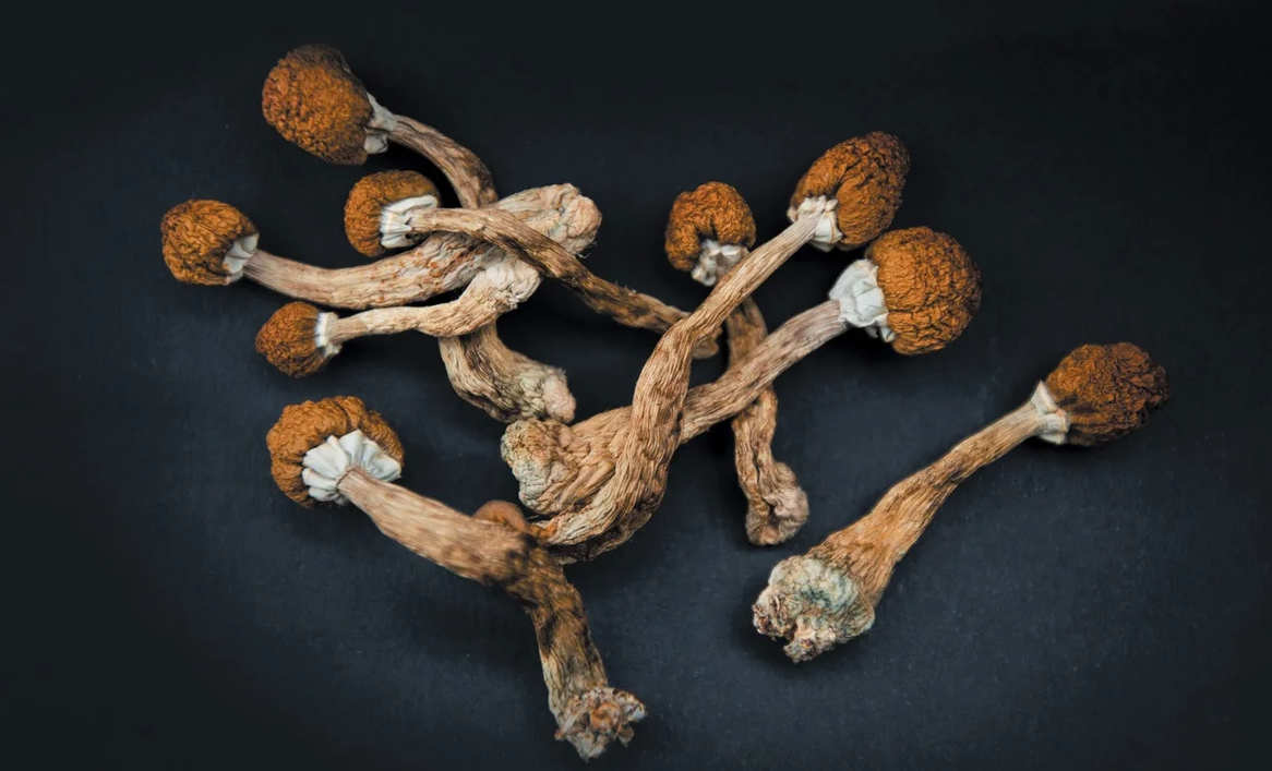 Magic Mushrooms Side Effects